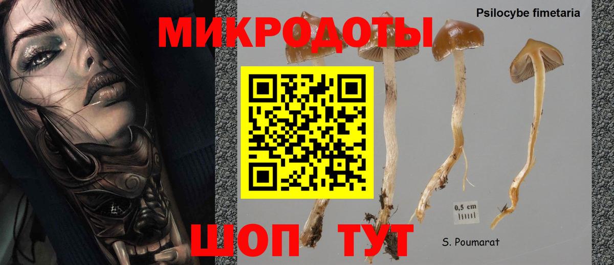 Псилоцибиновые грибы мухоморы  Вход с VPN  Кызыл 