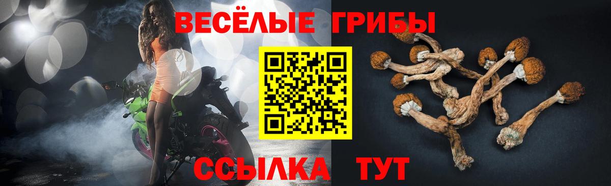 Псилоцибиновые грибы MAGIC MUSHROOMS Кызыл