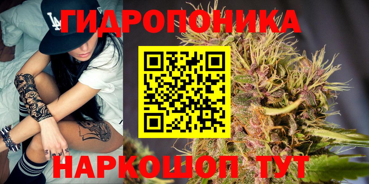 Бошки Шишки AK-47  Бошки Шишки MAZAR  МАРИХУАНА OG Kush  Марихуана Amnesia  Кызыл  Вход с VPN 